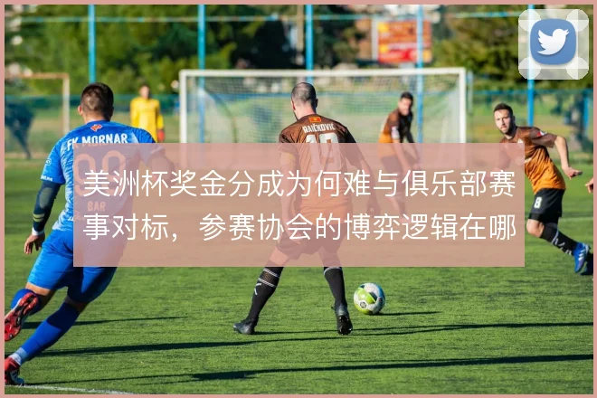 美洲杯奖金分成为何难与俱乐部赛事对标，参赛协会的博弈逻辑在哪
