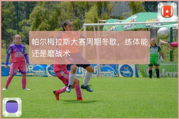 帕尔梅拉斯大赛周期冬歇,练体能还是磨战术