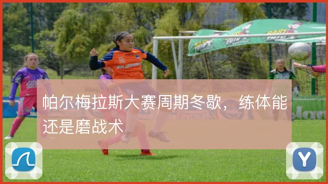 帕尔梅拉斯大赛周期冬歇,练体能还是磨战术